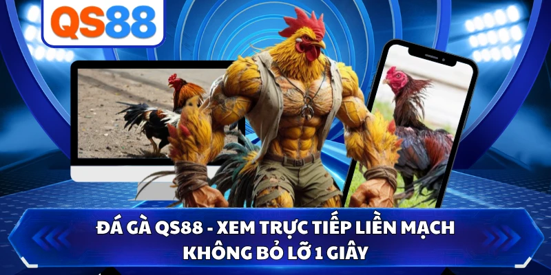 Đá Gà QS88 - Xem Trực Tiếp Liền Mạch Không Bỏ Lỡ 1 Giây